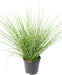 Kunstgress Miscanthus Zebrinus 45Cm Grønn Gul