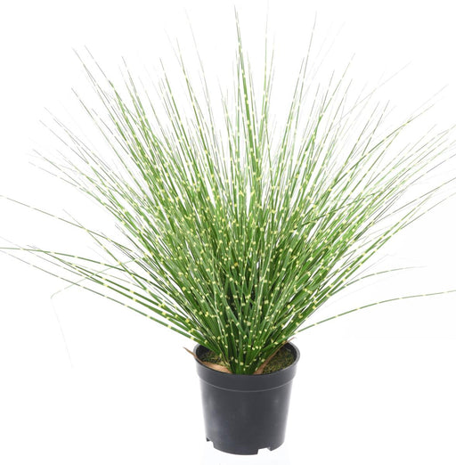 Kunstgress Miscanthus Zebrinus 45Cm Grønn Gul