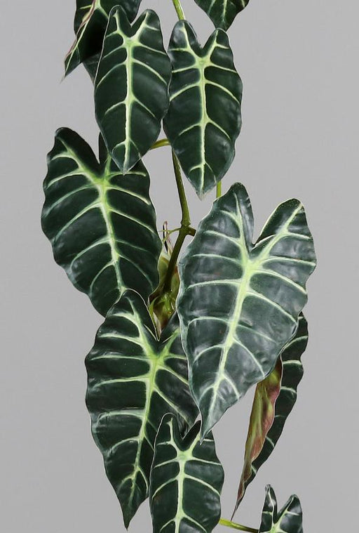 Kunstig Alocasia-Krans 120 Cm Grønn