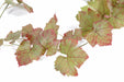 Artificial Vine Garland Høst 34 Blader 118Cm