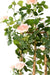 Kunstig Royal Rose Bush Trehekk 160 Cm