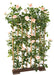 Kunstig Royal Rose Bush Trehekk 160 Cm