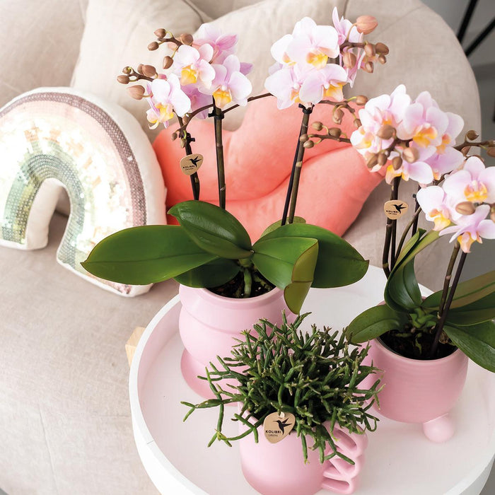 Happy Pink Mug - Keramisk Blomsterkrukke