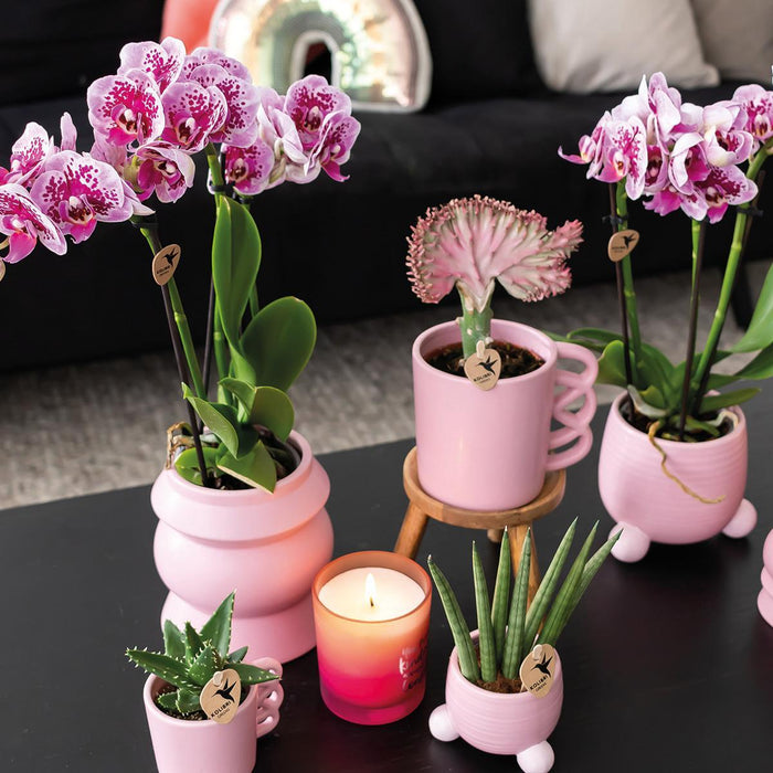 Happy Pink Mug - Keramisk Blomsterkrukke