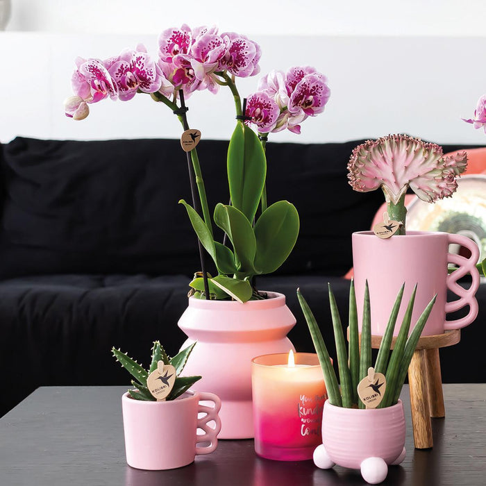 Happy Pink Mug - Keramisk Blomsterkrukke