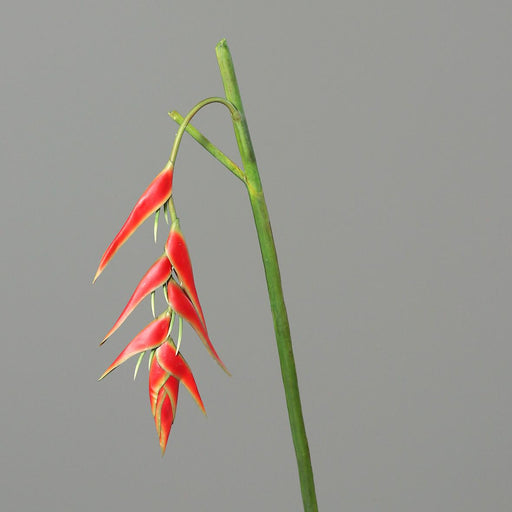 Kunstig Heliconia Pendula Rød 116Cm