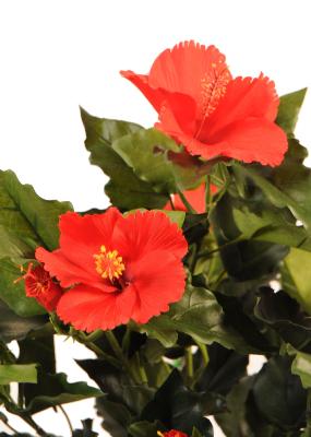 Kunstig Hibiscus Rød 150 Cm Blomstrende Plante