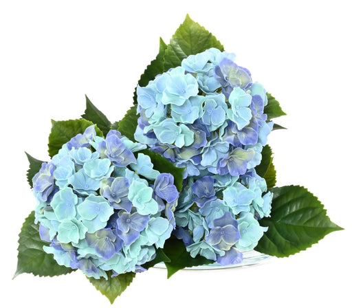 Kunstig Hortensia 3 Hoder UV-Bestandig H.45Cm Blå