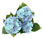 Kunstig Hortensia 3 Hoder UV-Bestandig H.45Cm Blå