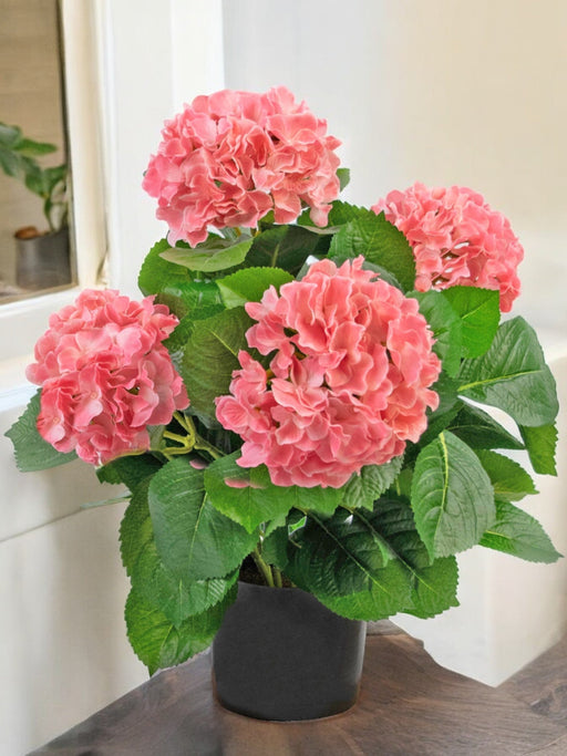 Hvit Kunstig Hortensia