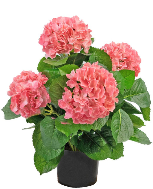 Hvit Kunstig Hortensia