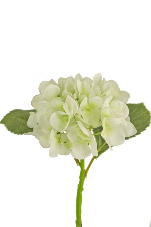 Hvit Kunstig Hortensia