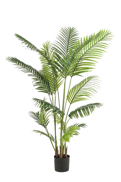 Howea Forsteriana Kunstig Plante - H160Cm, Ø15Cm