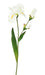 Hvit Kunstig Iris 74 Cm Blomster Hjemmeinnredning