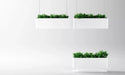 Greenlight Hang Planter