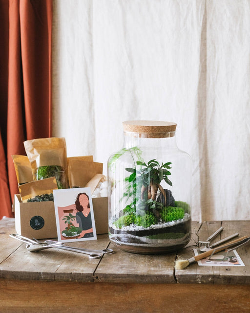 DIY Terrarium Kit - Cortica & Son Tool Kit