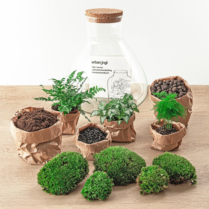 Gjør Selv Terrariumsett 3 Planter - Samos