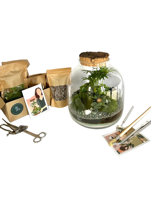 DIY Terrarium Kit - Acapulco & Son Tool Kit