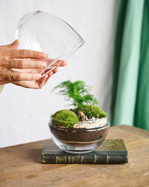 DIY Terrarium Kit - Bohol