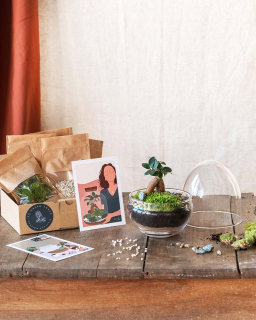 DIY Terrarium Kit - Bohol