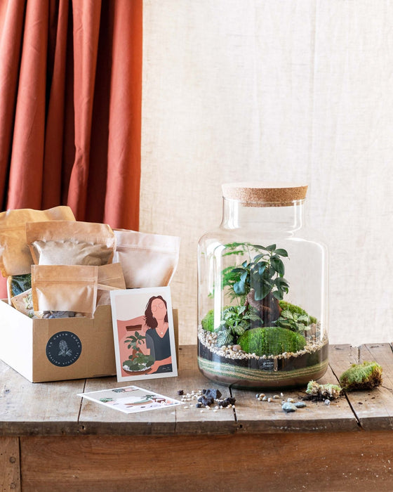 DIY Terrarium Kit - Cortica