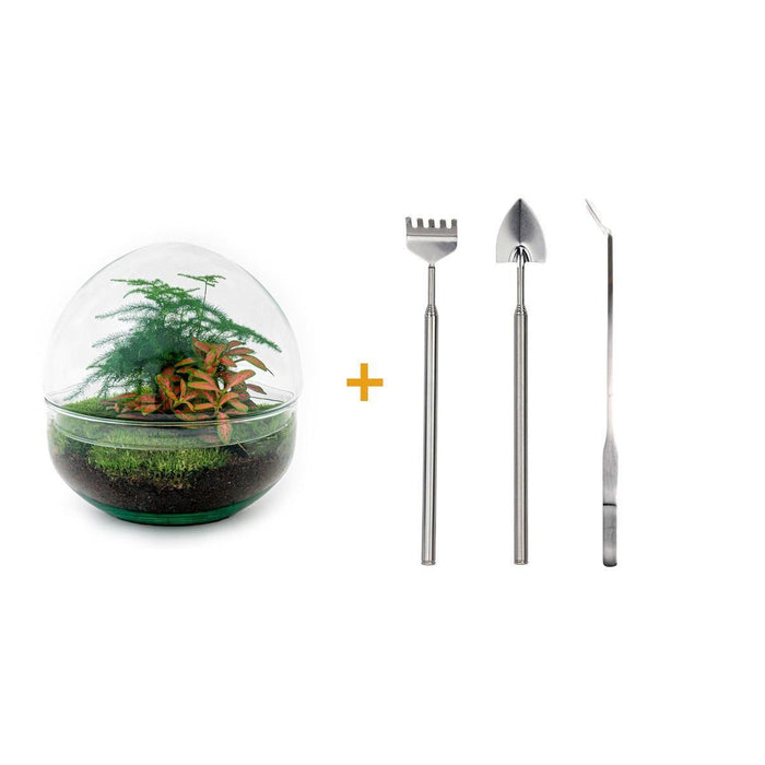 DIY Terrarium Kit - Dome