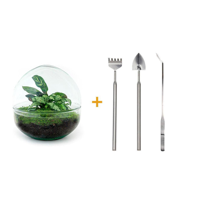 DIY Terrarium Kit - Dome