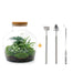 DIY Terrarium Kit - Joy