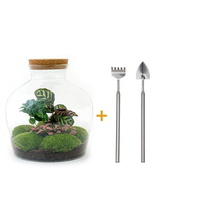 DIY Terrarium Kit - Joy