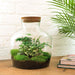 DIY Terrarium Kit - Joy