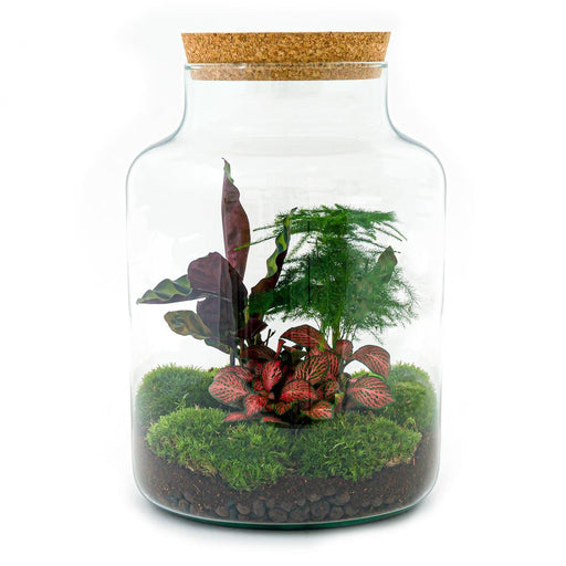 DIY Terrarium Kit - Mila