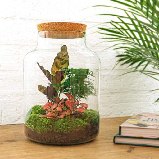 DIY Terrarium Kit - Mila