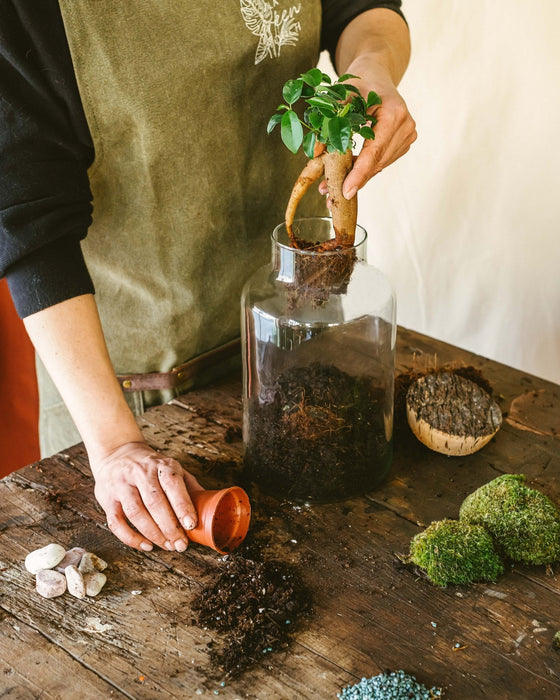 DIY Terrarium Kit - Napoli