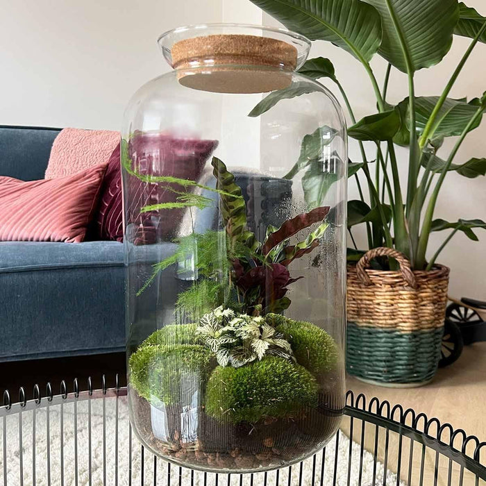 DIY Terrarium Kit - Salen