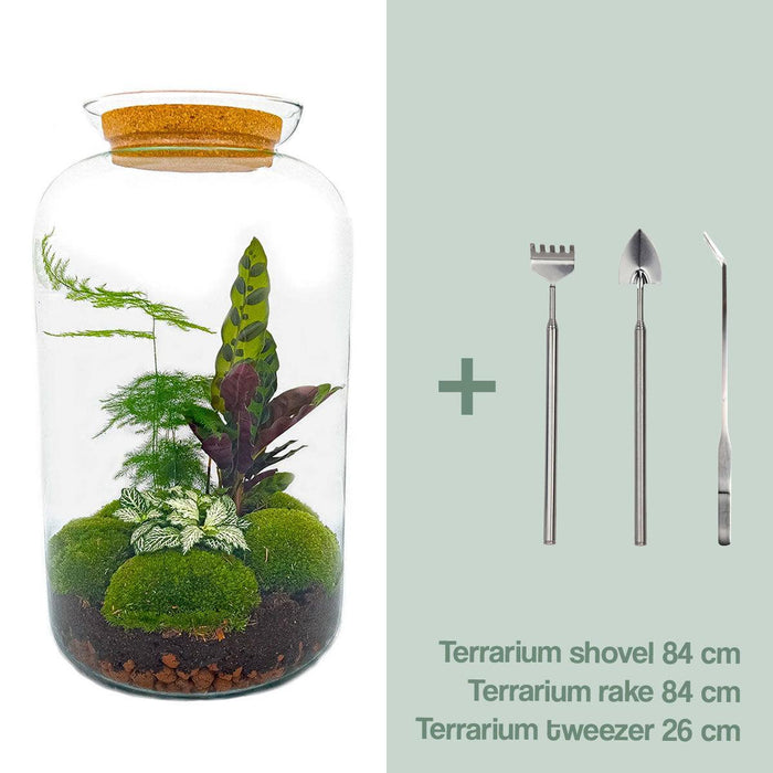 DIY Terrarium Kit - Salen