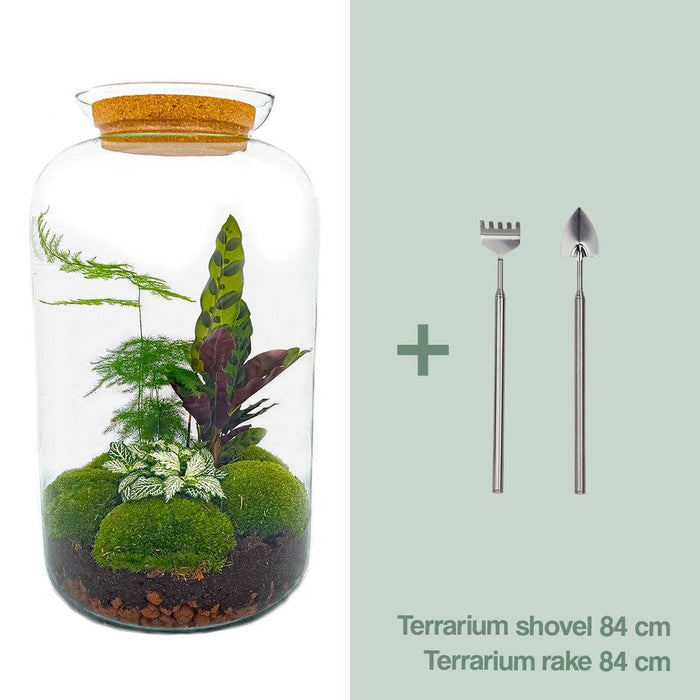 DIY Terrarium Kit - Salen