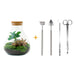 DIY Terrarium Kit - Sama