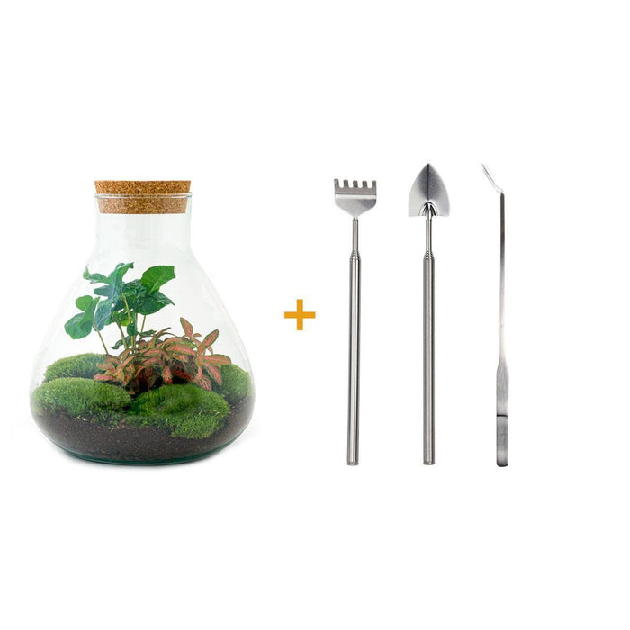 DIY Terrarium Kit - Sama