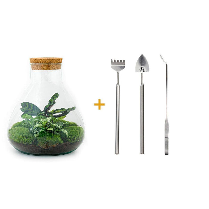 DIY Terrarium Kit - Sama