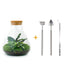 DIY Terrarium Kit - Sama