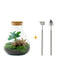 DIY Terrarium Kit - Sama