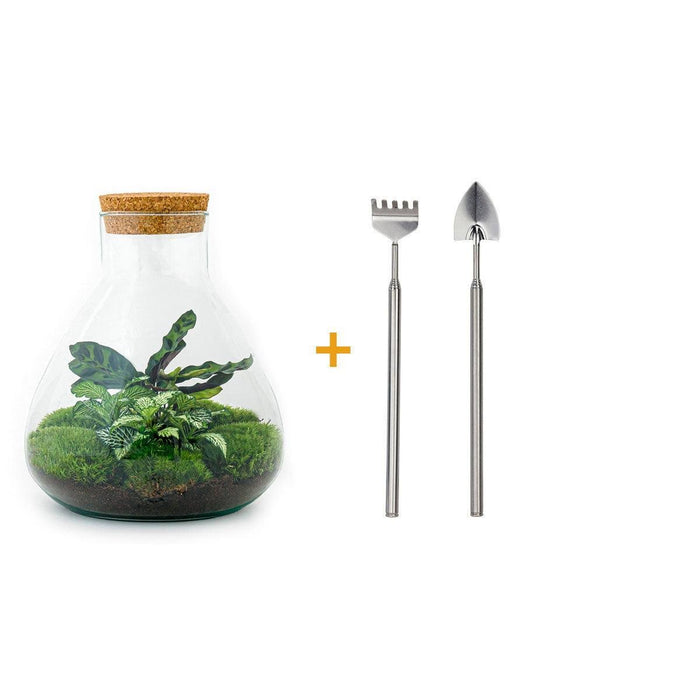 DIY Terrarium Kit - Sama