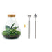 DIY Terrarium Kit - Sama