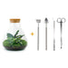 DIY Terrarium Kit - Sama