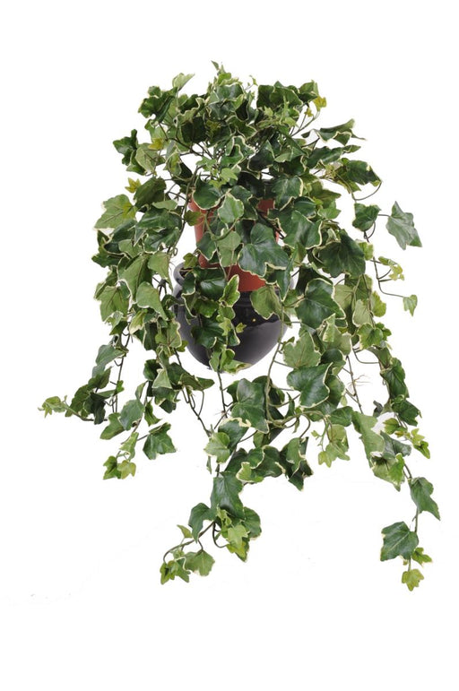 Artificial Ivy Gala 75Cm Anti-Uv For Utendørs