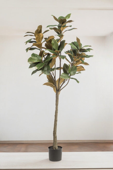 Magnolia Grandiflora Kunstig Plante - H150Cm, Ø15Cm