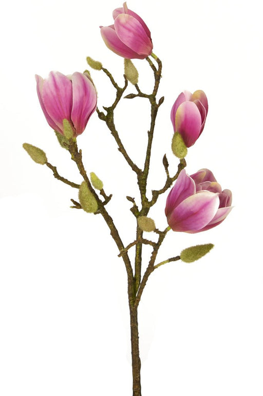 Kunstig Rosa Magnolia