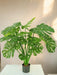 Monstera Deluxe - Stor Kunstig Plante