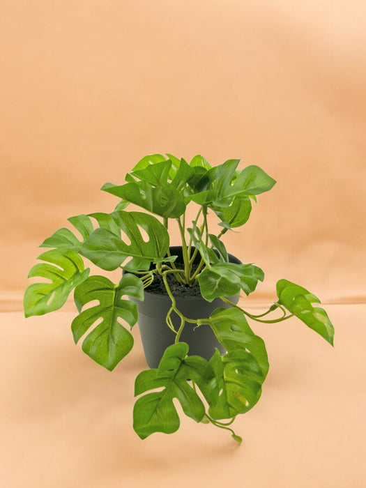 Monstera - Kunstig Grønn Plante