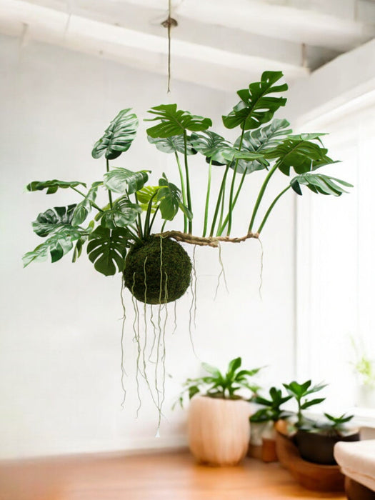 Monstera Kokedama - Kunstig Hengende Plante